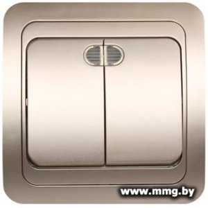 Купить Выключатель SmartBuy Марс SBE-02c-10-SW2-1-c в Минске, доставка по Беларуси