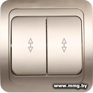 Купить Выключатель SmartBuy Марс SBE-02c-10-SW22-0 в Минске, доставка по Беларуси