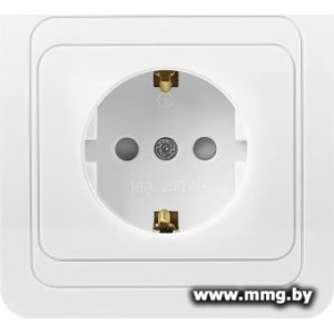 Купить Розетка SmartBuy Марс SBE-02w-16-S1-Z-c в Минске, доставка по Беларуси