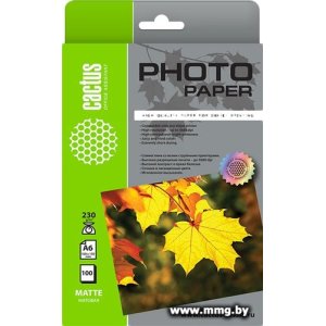 Бумага CACTUS Матовая 10x15 230 г/м2 100 листов CS-MA6230100