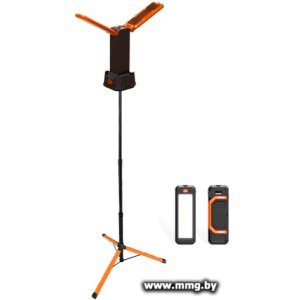 Купить Уличный прожектор MaxPiler MTWL-03 в Минске, доставка по Беларуси