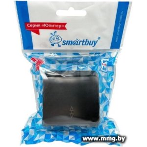 Купить Выключатель SmartBuy Юпитер SBE-03b-10-SW12-0 в Минске, доставка по Беларуси