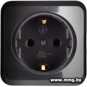 Купить Розетка SmartBuy Юпитер SBE-03b-16-S1-Z в Минске, доставка по Беларуси