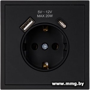 Купить Розетка SmartBuy Капелла SBE-09b-16-S1-USB в Минске, доставка по Беларуси
