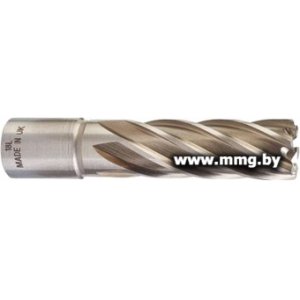 Купить Фреза Milwaukee 4932343293 в Минске, доставка по Беларуси