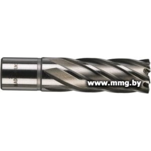 Купить Фреза Milwaukee 4932343295 в Минске, доставка по Беларуси