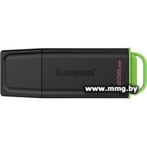 Купить 256GB Kingston DataTraveler Exodia DTXG2/256GB в Минске, доставка по Беларуси
