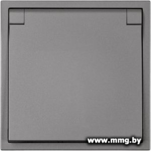 Купить Розетка SmartBuy Капелла SBE-09g-16-S1-1ZK в Минске, доставка по Беларуси
