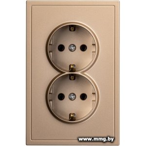 Купить Розетка SmartBuy Капелла SBE-09c-16-S2-Z в Минске, доставка по Беларуси