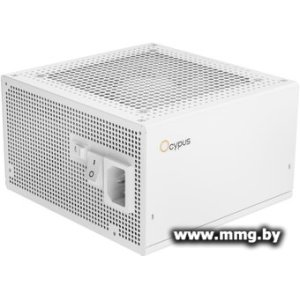 Купить 750W Ocypus Delta P750 (белый) (Delta-P750-B1FDWH025X-EU) в Минске, доставка по Беларуси
