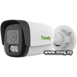 Купить IP-камера Tiandy TC-C35WS 3ERA-28 в Минске, доставка по Беларуси
