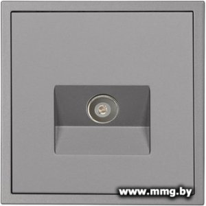 Купить Розетка SmartBuy Капелла SBE-09g-S1-TV в Минске, доставка по Беларуси
