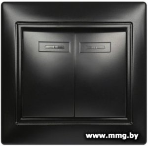 Купить Выключатель SmartBuy Венера SBE-01b-10-SW2-1-c в Минске, доставка по Беларуси