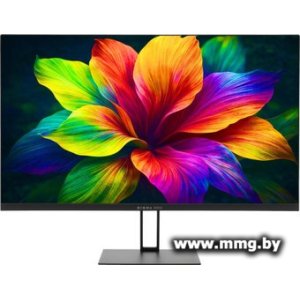 Digma Pro Motion S TM24SB01