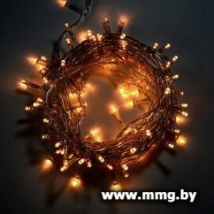 Купить Гирлянда ECOLA N5YV10ELC в Минске, доставка по Беларуси