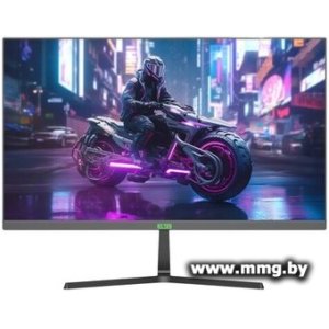 Elsa EA271GS Pro