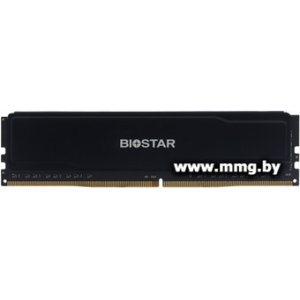 8GB PC4-25600 Biostar DO32NU4H08