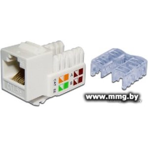Купить Розетка TWT TWT-OK45UTP/5E-WH в Минске, доставка по Беларуси