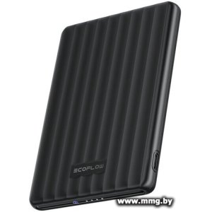 Купить EcoFlow Rapid Mag 5000mAh (черный) 5022801014 в Минске, доставка по Беларуси