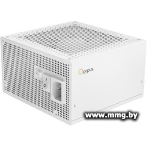 Купить 1200W Ocypus Iota P1200 Iota-P1200-G1FFWH025X-EU в Минске, доставка по Беларуси