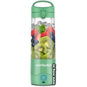 Купить NutriBullet NBP003LG в Минске, доставка по Беларуси