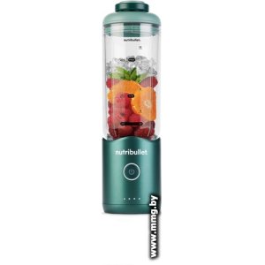 Купить NutriBullet Flex NBP013GR в Минске, доставка по Беларуси