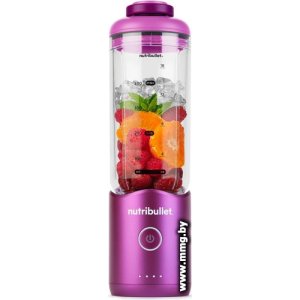 Купить NutriBullet Flex NBP013VT в Минске, доставка по Беларуси