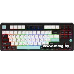 Купить Ajazz MK87 (черный/белый, Ajazz Daydream) в Минске, доставка по Беларуси