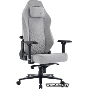 Купить Evolution TITAN Fabric (серый) в Минске, доставка по Беларуси