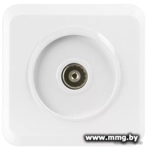 Купить Розетка SmartBuy Юпитер SBE-03w-S1-TV в Минске, доставка по Беларуси