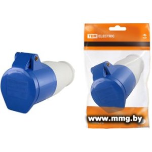 Купить Розетка TDM Electric SQ0603-0015 в Минске, доставка по Беларуси