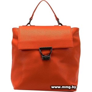 Купить Рюкзак Passo Avanti 536-2301-ORN (оранжевый) в Минске, доставка по Беларуси