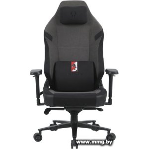 Купить Evolution Epic Fabric (черный/графитовый) в Минске, доставка по Беларуси