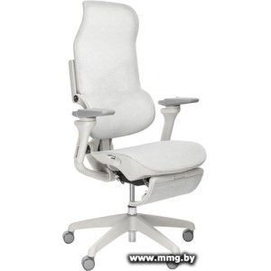 Купить Evolution Zephyr (серый) в Минске, доставка по Беларуси