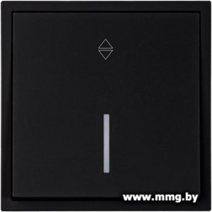 Купить Выключатель SmartBuy Капелла SBE-09b-10-SW12-1 в Минске, доставка по Беларуси