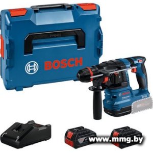 Bosch GBH 18V-22 X Professional 0611924181 (с 2-мя АКБ, кейс, с переходником на евровилку)