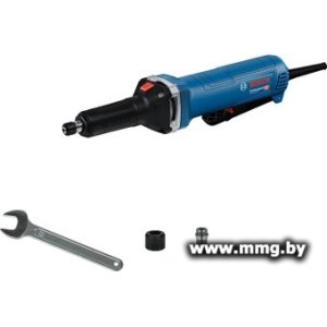 Купить Bosch GGS 30 LPS Professional 06012B5280 (китайская версия) в Минске, доставка по Беларуси