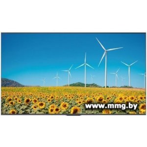 Купить Hisense 55DP30FE в Минске, доставка по Беларуси
