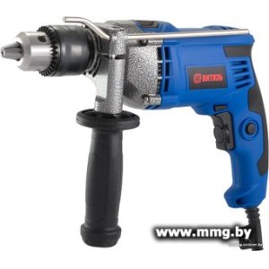 Купить Витязь ДЭУ-1200-16 18013008 в Минске, доставка по Беларуси