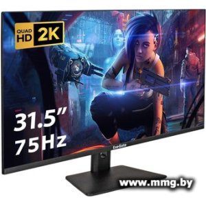 ExeGate SmartView ES3207A EX299475RUS