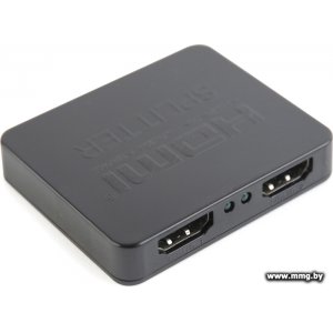 Купить Разветвитель Cablexpert DSP-2PH4-03 в Минске, доставка по Беларуси