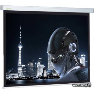 Купить Cactus Professional Wallscreen CS-PSW-128x170 в Минске, доставка по Беларуси
